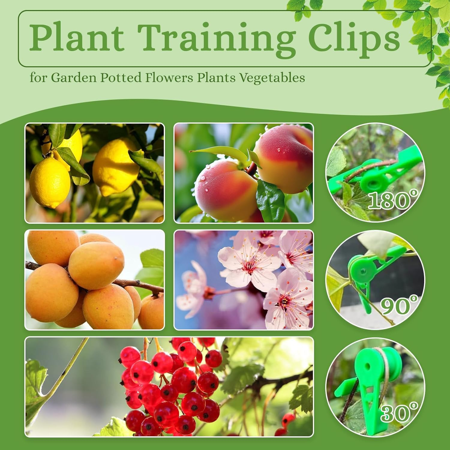Xinghonyac 100 Pcs 360 Degree Adjustable Plant Clips, Plant Branches Bender Stem Trainer Clips, Plant Low Stress Training Clips for Branches and Vines, Garden Plants Support Tools image number 1