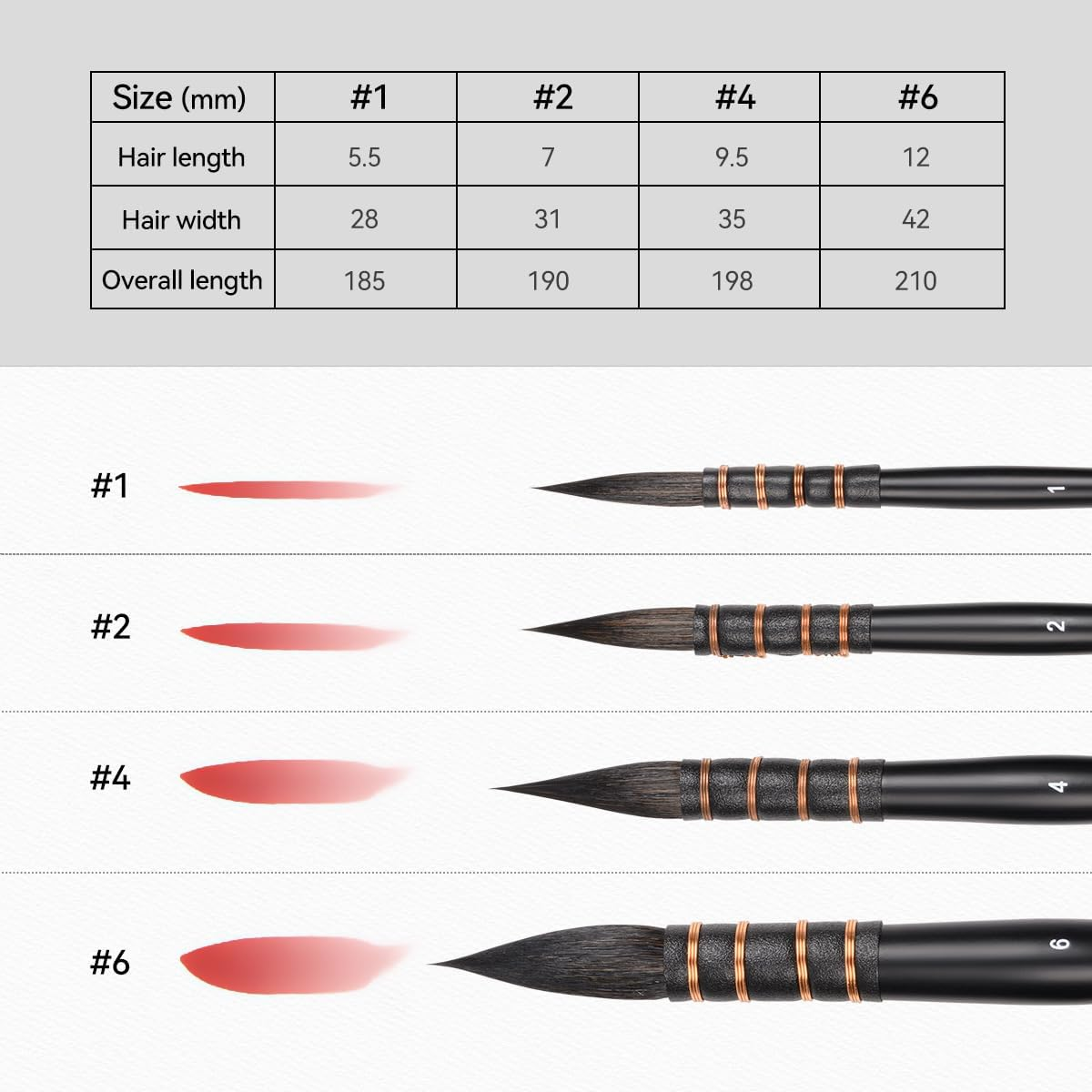 Lightwish Squirrel Watercolour Brushes Set, Paint Brushes Kit for Artists, Adults, and Hobbists, Pointed round Mop Brush for Watercolour Paint, Gouache,4 Pcs image number 5