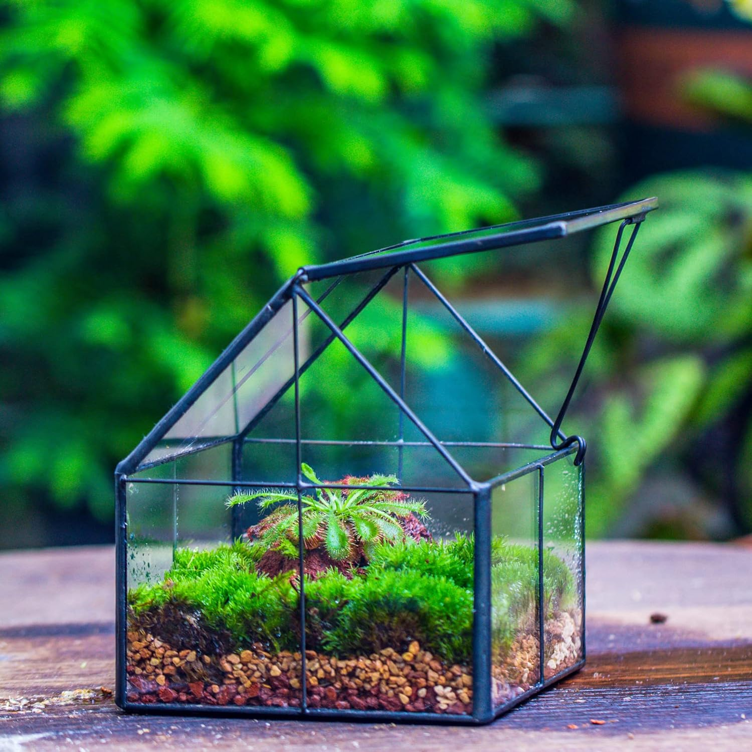 NCYP Mini Glass Geometric Terrarium with Lid - 4.25" X 4.25" X 4.92" Small House Shape Close Planter Pot for Succulents Plant - Handmade, Home Garden Office Tabletop Decor, Black (Terrarium Only) image number 3