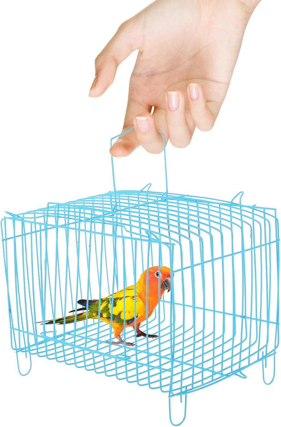 Angoily Portable Small Parrot Cage Carrier with Handle Wear-Resistant Steel Wire Bird Travel Cage for Pet Birds Suitable for Travel and Outdoor Use image number 4