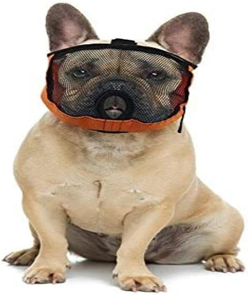 Brachycephalic Dog Muzzle with Flattened Snout: English Bulldog, French Bulldog, Pekingese, Shih-Tzu, Pug, Also Suitable for Cats. (M Head Circumference: 47-56Cm)