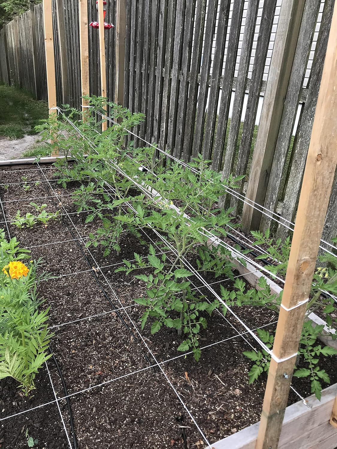 IRRIGATION-MART 6300FT Heavy Duty Polypropylene Garden Twine, 8 Inches image number 4