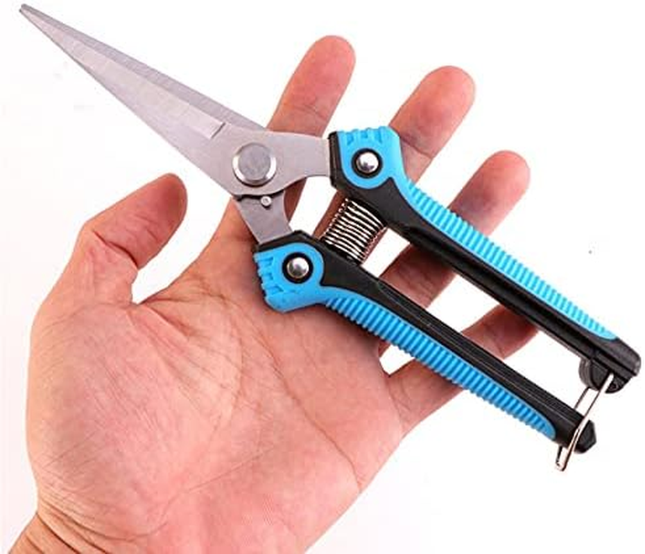 ARFUKA Garden Scissors, Pruning Shears with Straight Blades, Florist Scissors, Multi-Tasking Garden Snips for Arranging Flowers, Trimming Plants and Harvesting Herbs, Fruits or Vegetables (Blue) image number 2