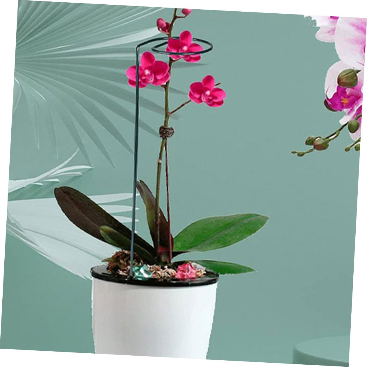 PHENOFICE 12Pcs Indoor Plant Stakes for Potted Plants Support Stakes Trellis Indoor Climbing Trellis Netting Garden Supply Accessories image number 6