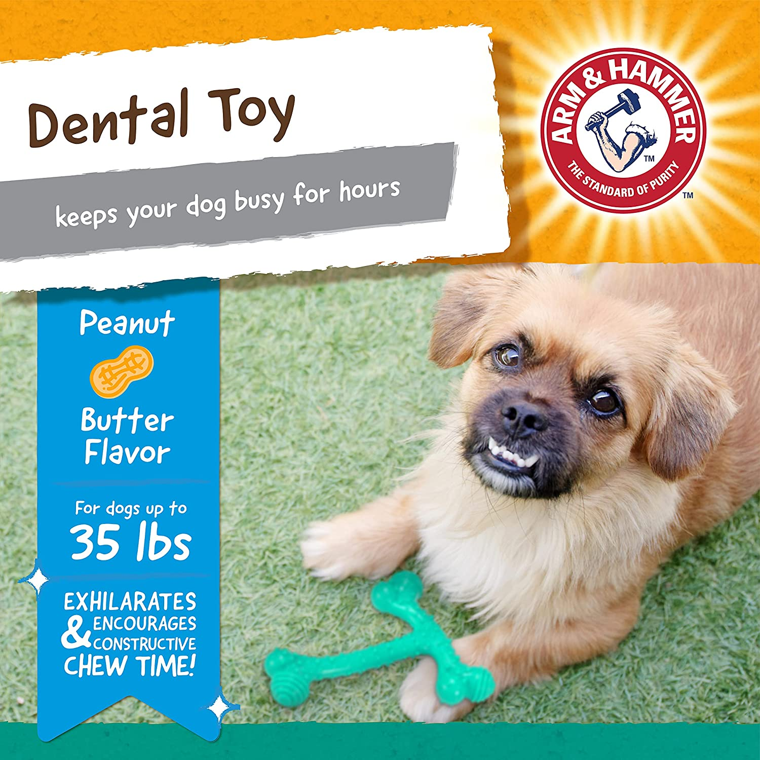 Arm & Hammer for Pets Ora-Play T-Bone Dental Chew Toy for Dogs -(Pack of 2(| Best Dog Chew Toy for the Toughest Chewers | Reduces Plaque & Tartar Buildup without Brushing, Peanut Butter Flavor image number 2