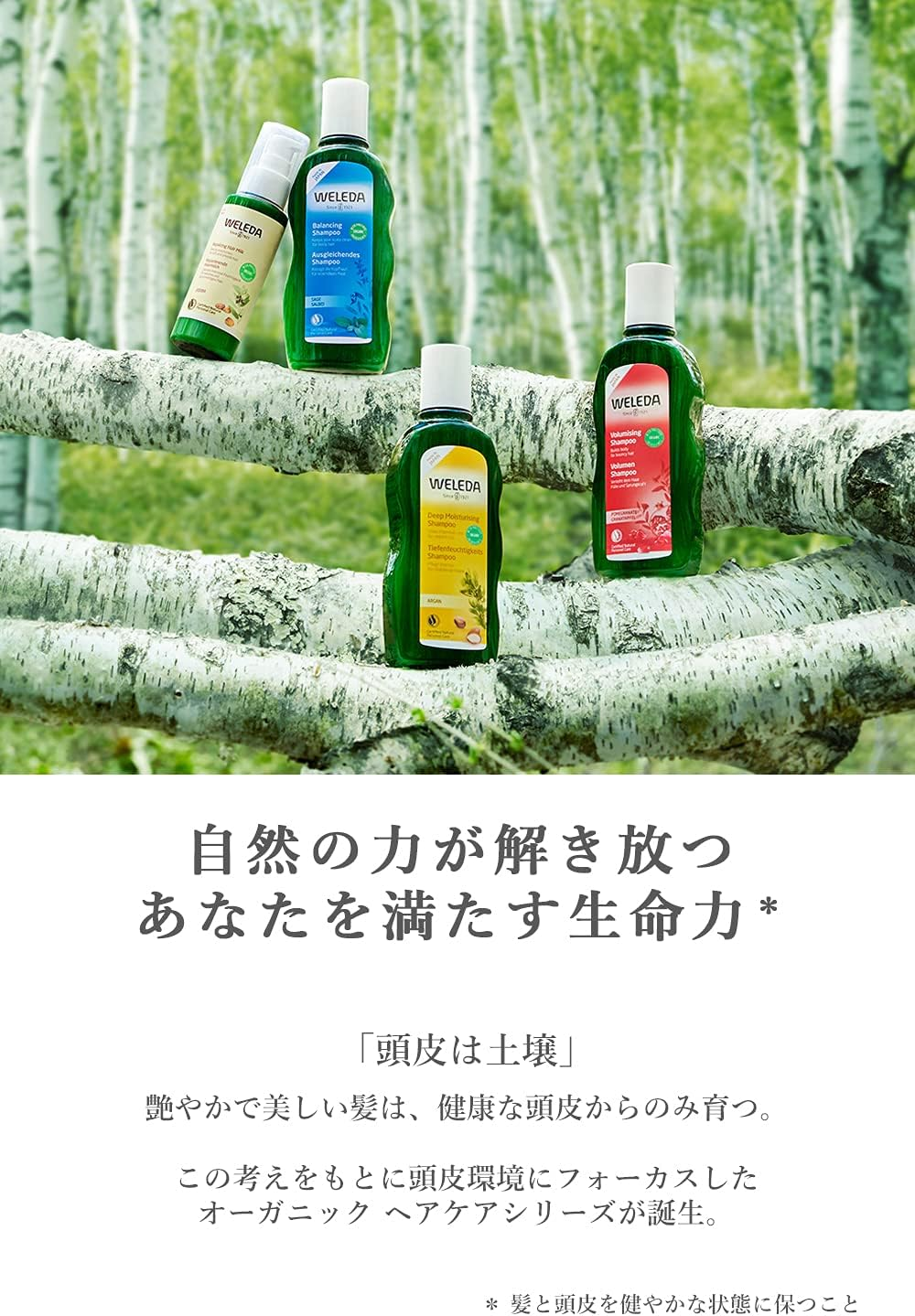 Weleda Hair Milk, 3.4 Fl Oz (90 Ml), Treatment Essence, Rinse Free Treatment, Styling, Damage Repair, Floral Herbal Scent, Naturally Derived Ingredients, Organic image number 4