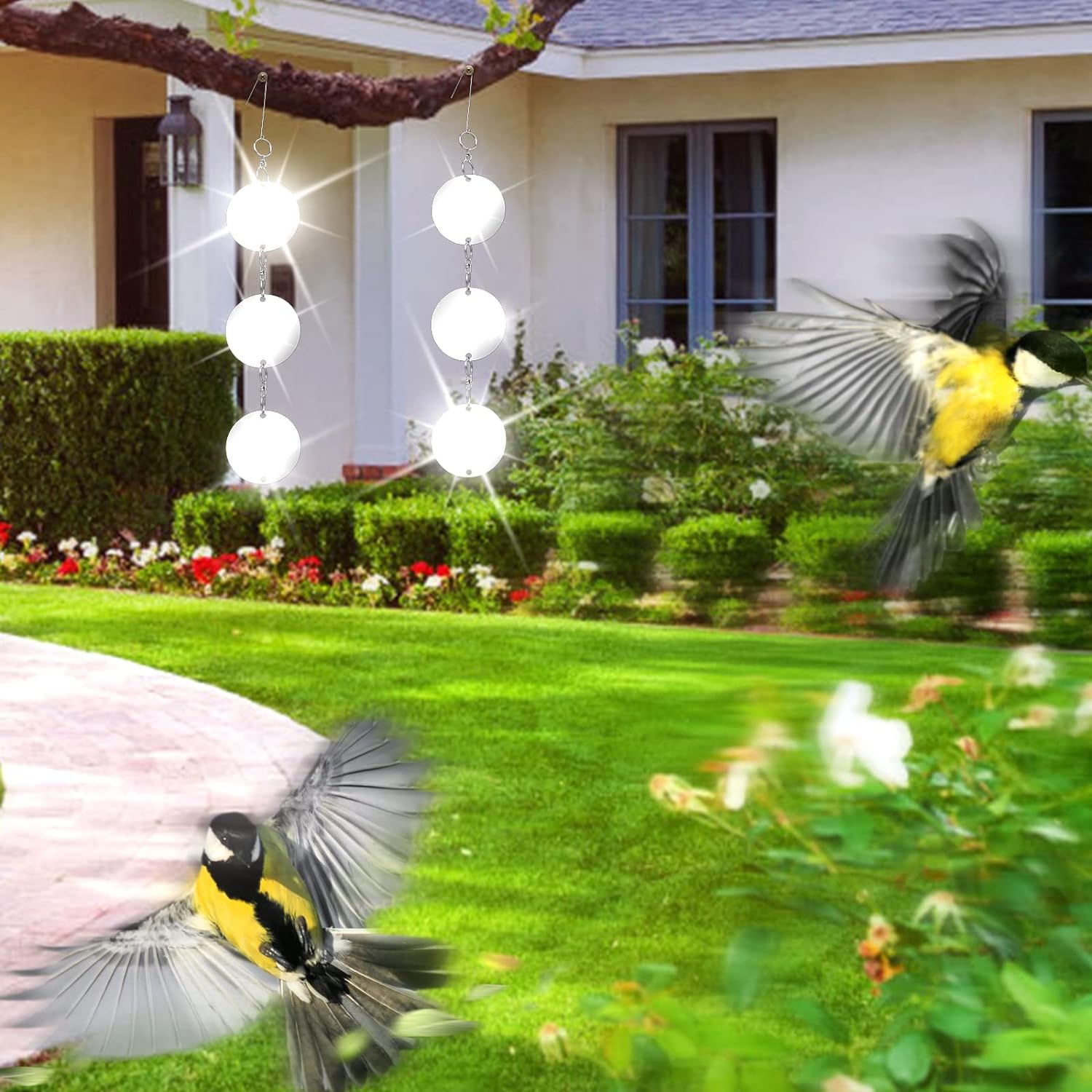 GWHOLE 6 Pack Bird Scare Discs Bird Repellent Reflective Discs Bird Deterrent Keep Birds Away image number 6