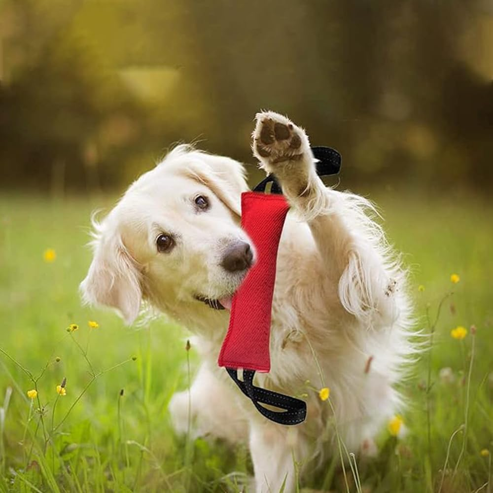 POFET Dog Tug Game Dog Bite Tug, Durable Dog Tug Game, Jute Bite or Medium to Large Dogs, Interactive for Tug of War, Fetch, Puppy Training, Interactive Play image number 5