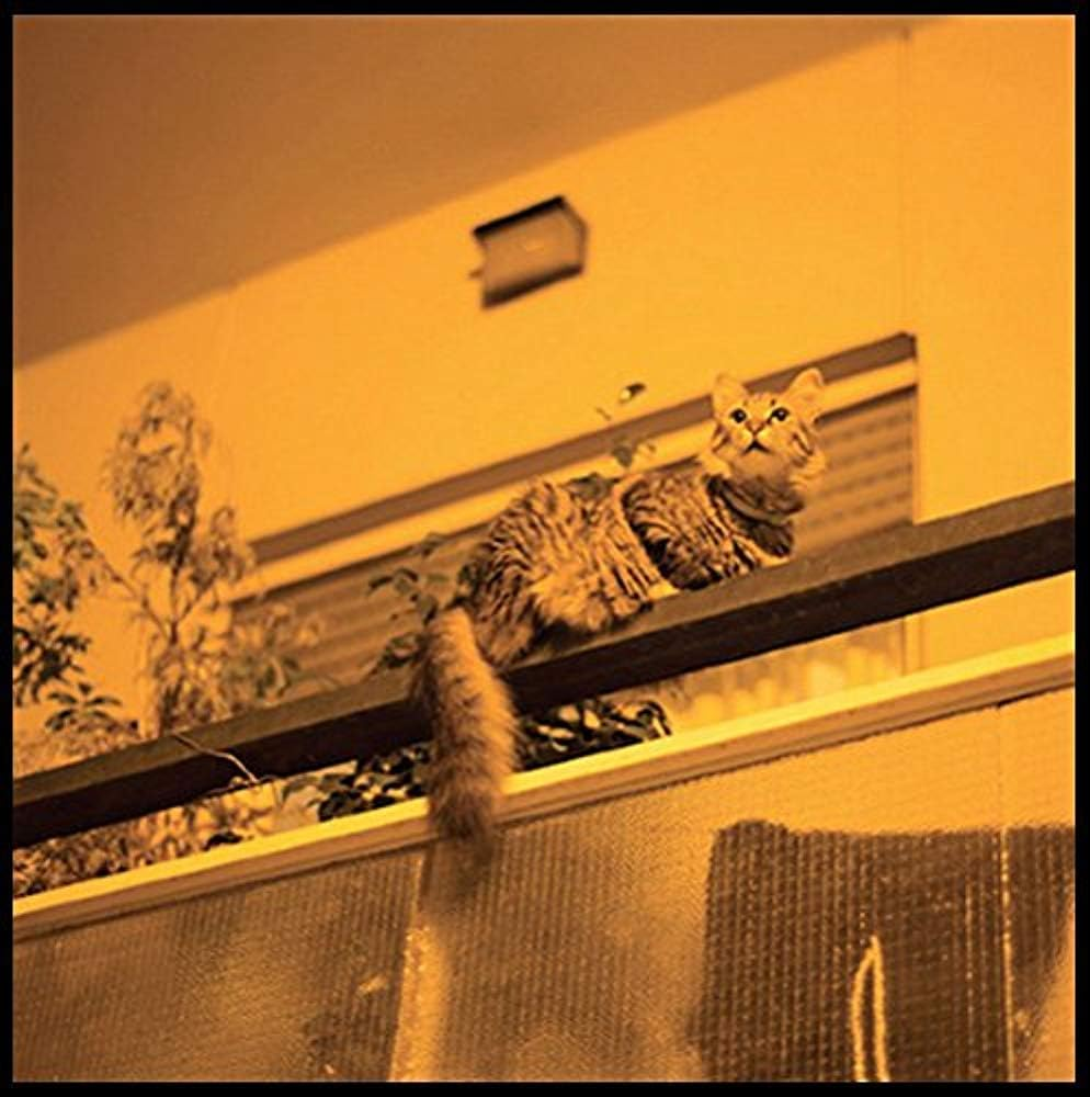 The Republic (LP) image number 1