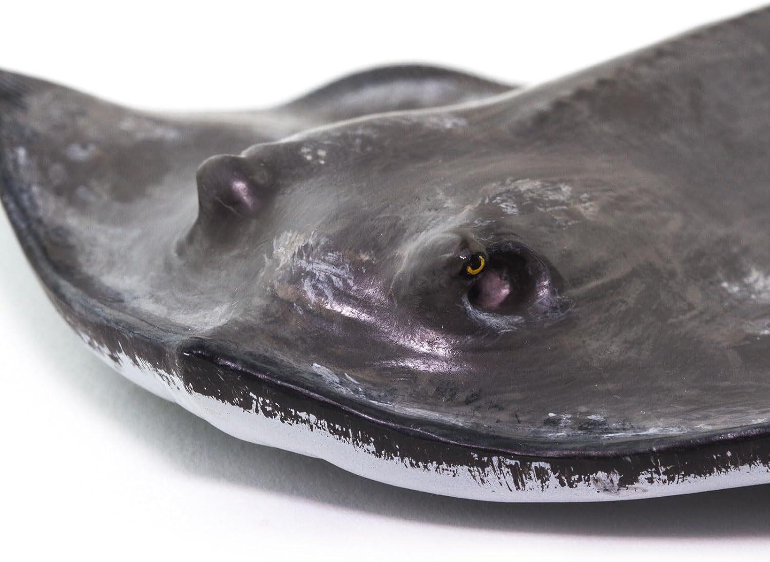 Safari Ltd Sting Ray image number 5