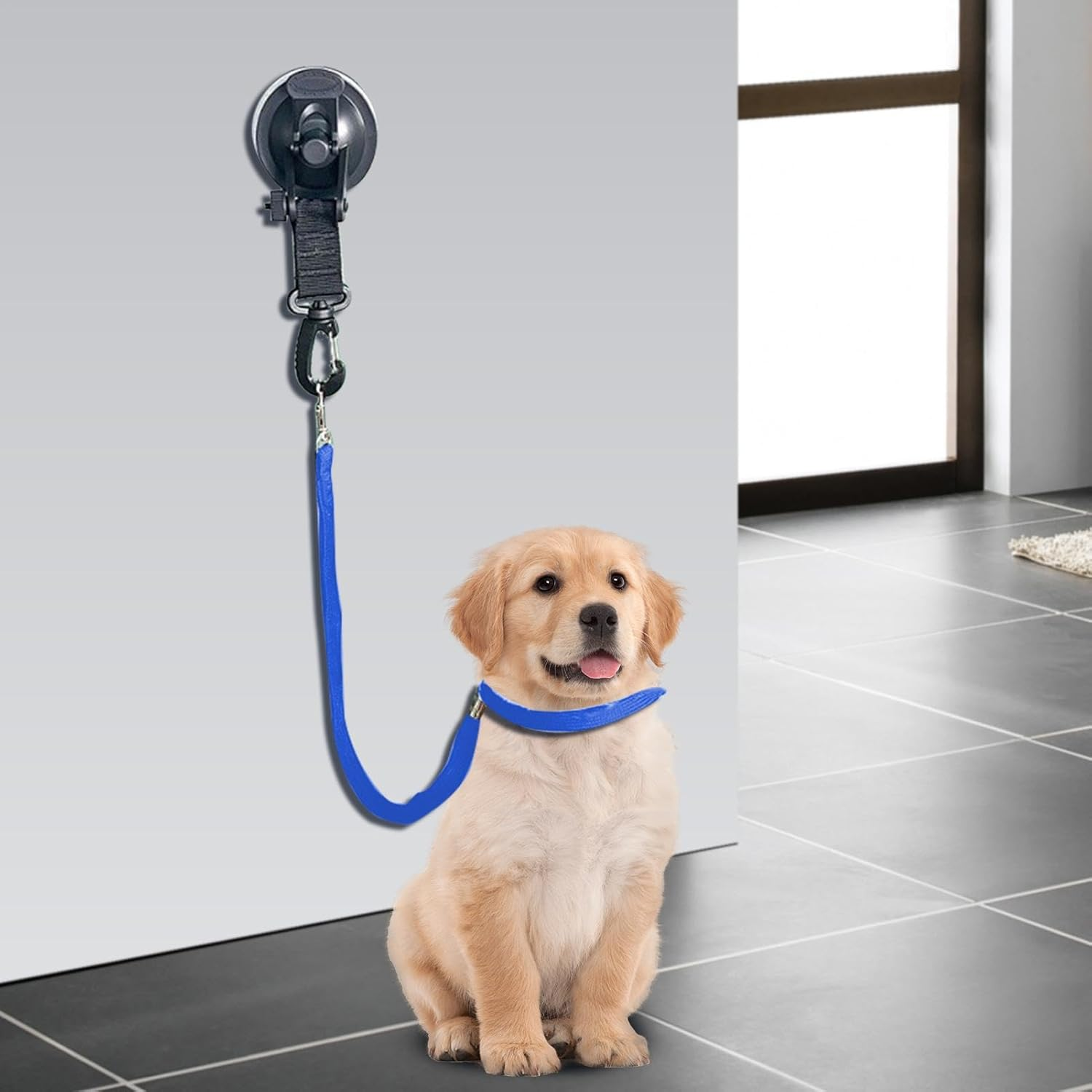 Dog Grooming Loops,Pet Bath Tether with Suction Cup - Dog Cat Fixed Safety Rope, Dog Restraint Grooming Noose for Pet Shower Bathing Grooming image number 3