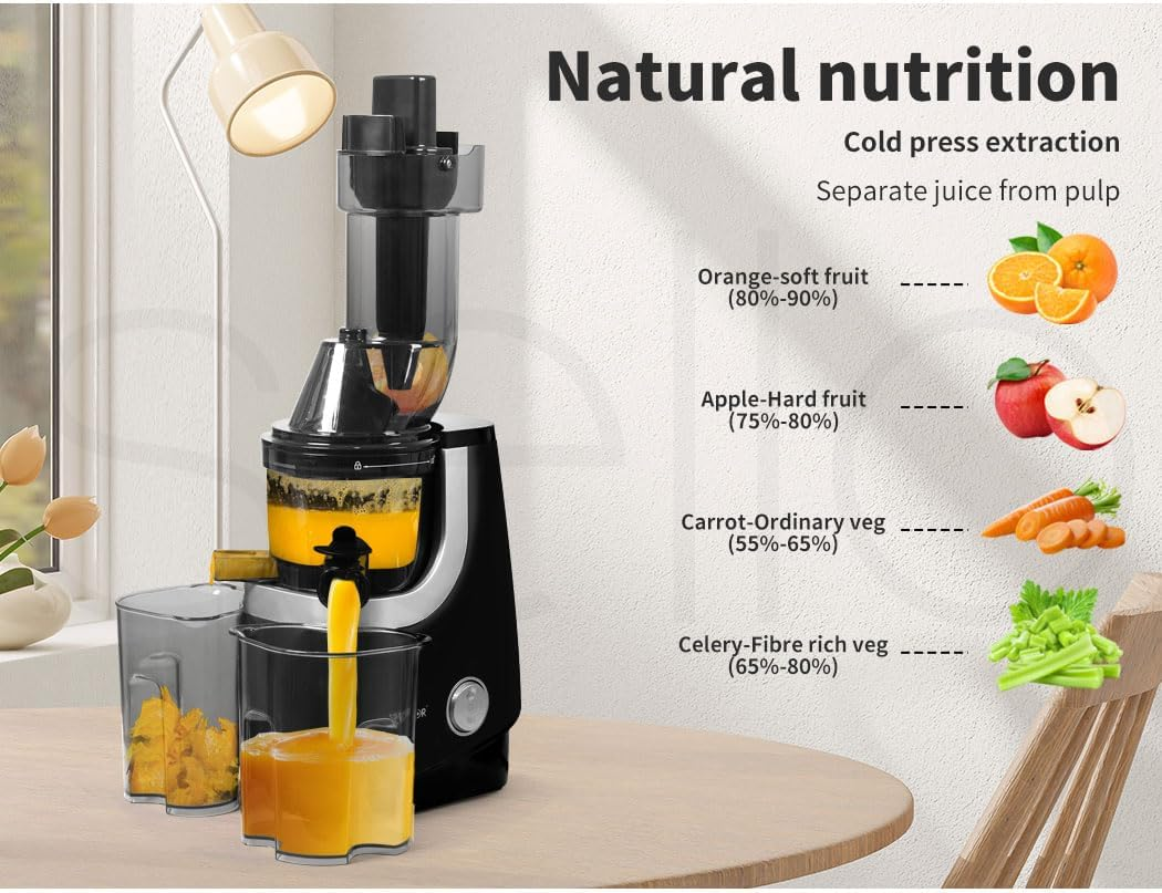 Spector Electric Cold Press Juicer Whole Fruits Vegetable Slow Masticating Machines Orange Celery Wheatgrass Carrot Juice Extactor Low Speed Sorbet Maker Black image number 6