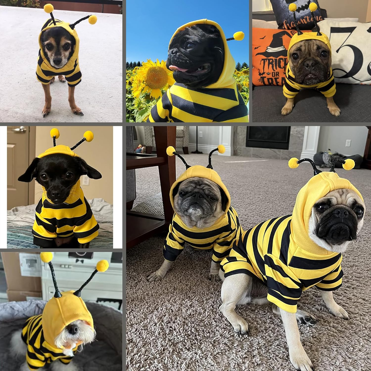 Dog Bee Costume Outfit Bumblebee Hoodie Cat Clothes Funny Dog Hooded Coat for Pet Small Medium Dogs Puppy Chihuahua Yorkie Halloween Party Cosplay, Black and Yellow (X-Large)
