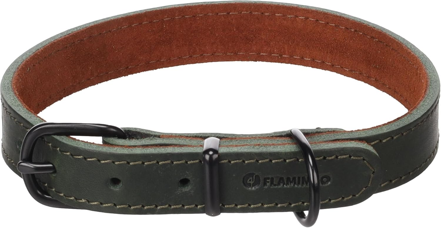 Dog Collar Montana Green M 37-45Cm 20Mm