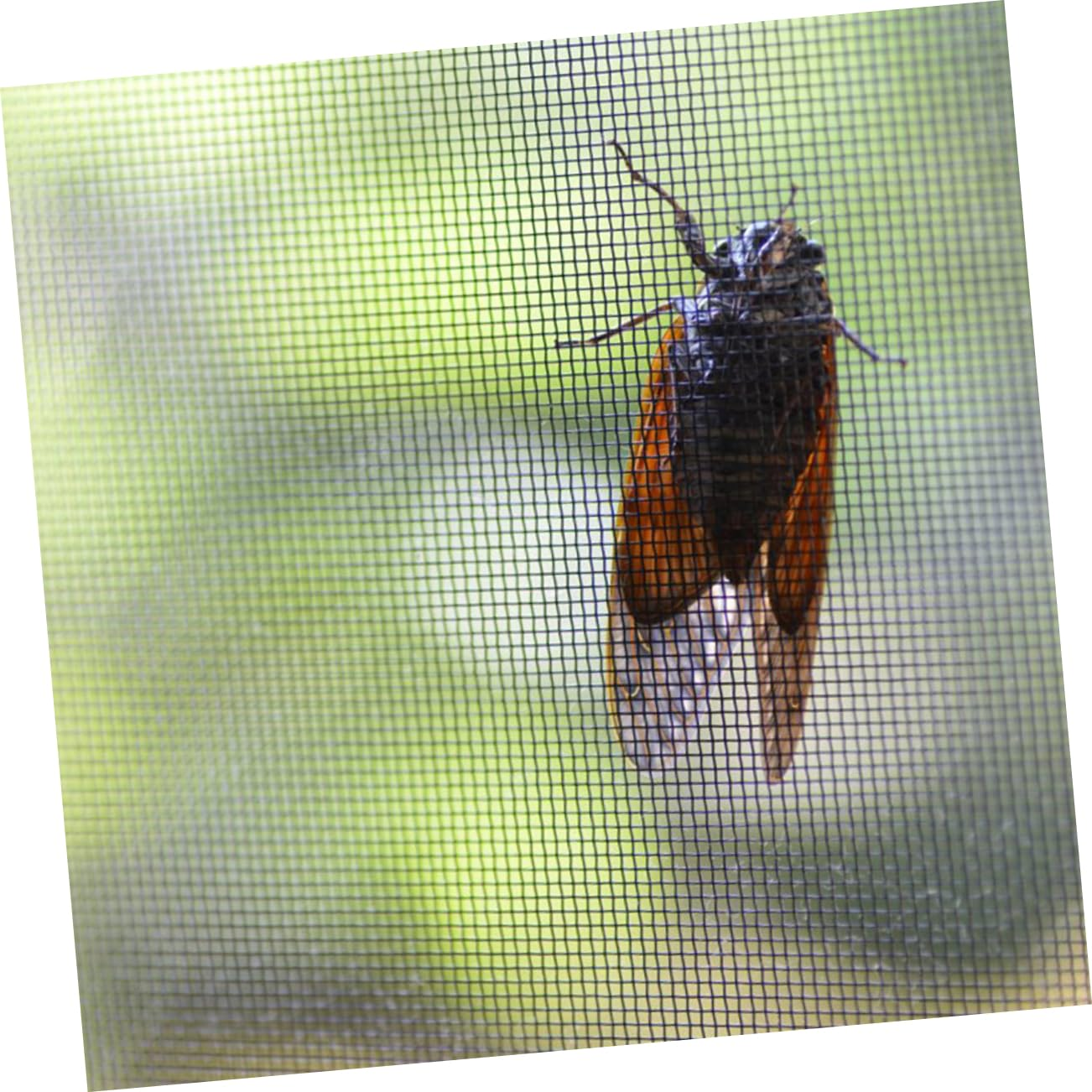 Adhesive Window Screen Repair Tape and Mesh Patch Tape for Screen Door and Window Cuttable 4 Rolls (5Cm X 2M) for Home Door Curtain image number 6