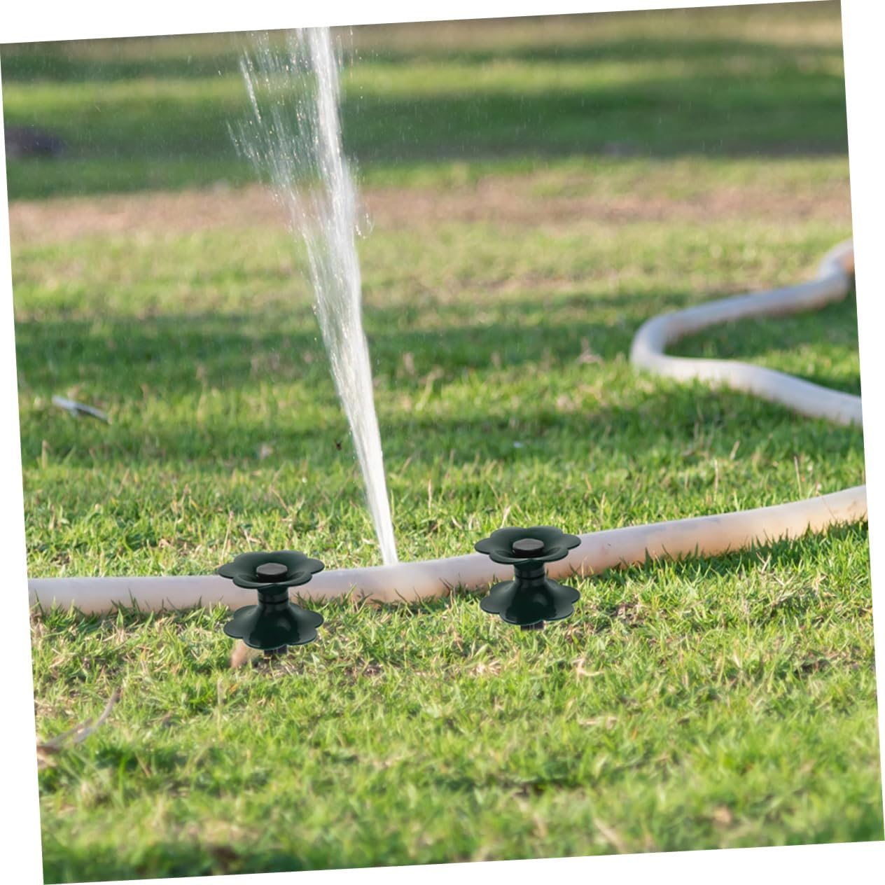 Sosoport 6Pcs Garden Hose Guide Spikes Outdoor Hose Holder Stand with Solid Plastic Stakes for Lawn Irrigation Suitable for Patio and Yard Gardening image number 4