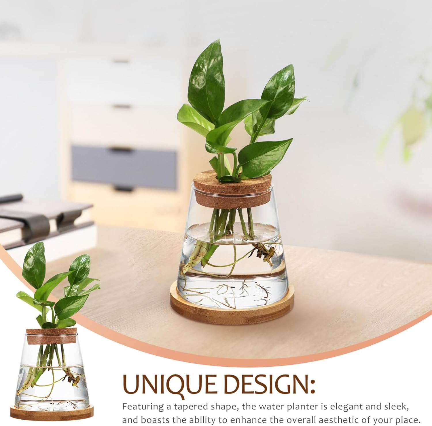 TOVINANNA 2Pcs Hydroponic Plants Terrarium with Cork Stopper and Base Glass Propagation Jars for Indoor Greenery Decor Elegant Water for Home Centerpiece image number 5