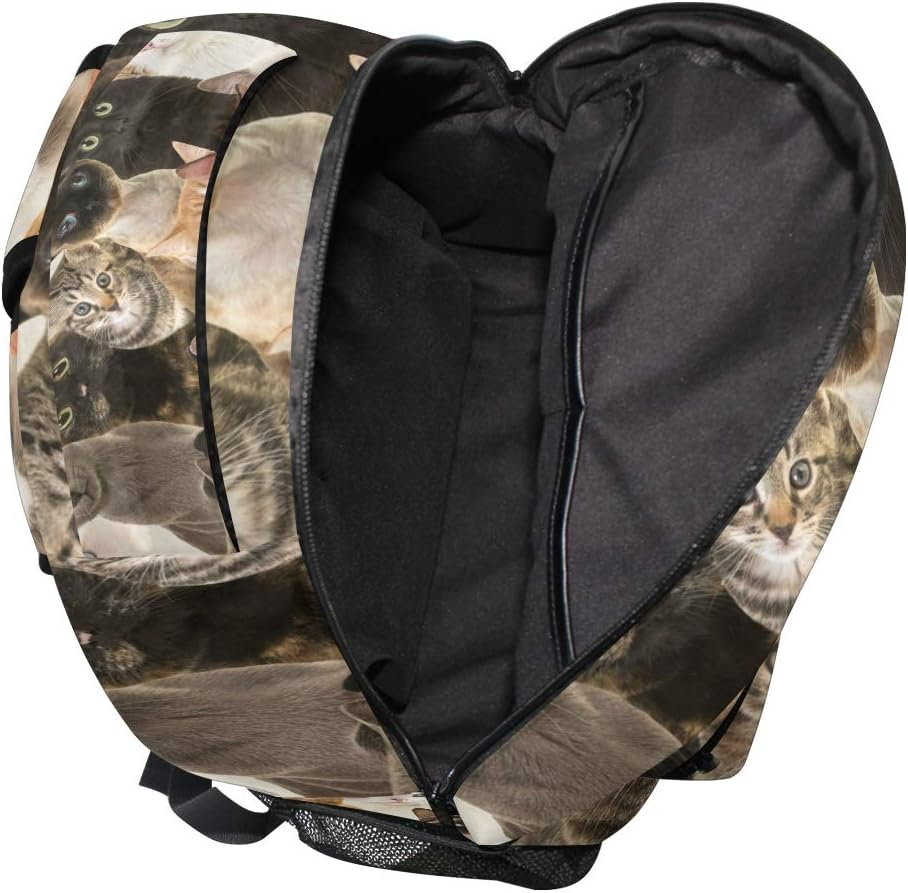 Rootti Backpack Bag Cat Animal Print Daypack Canvas School with Travel Bookbag Backpack for Teen Boys Girls Men and Women, Multi, One Size image number 3