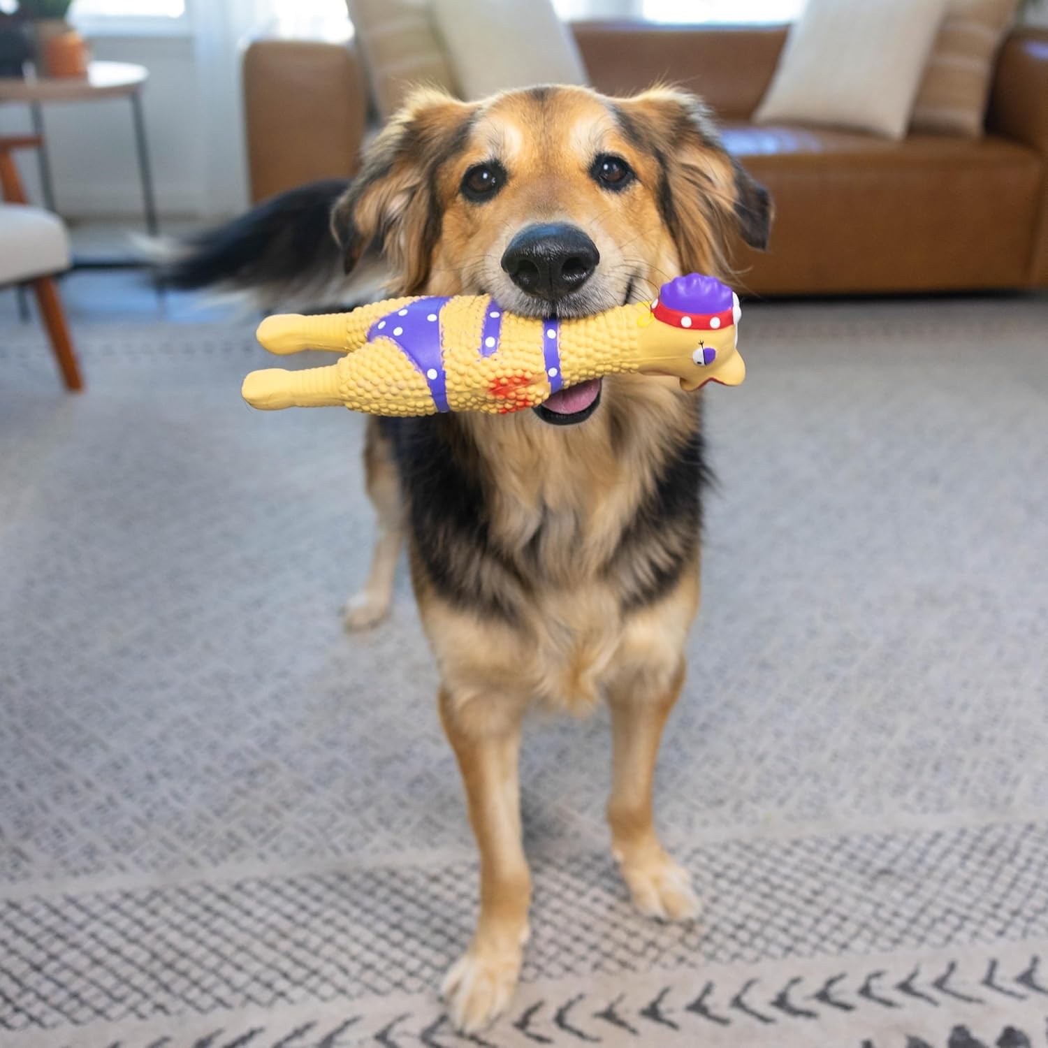 Petstages Pet Henrietta Latex Rubber Squawking Chicken Dog Toy, 145.14 G, L, Multi