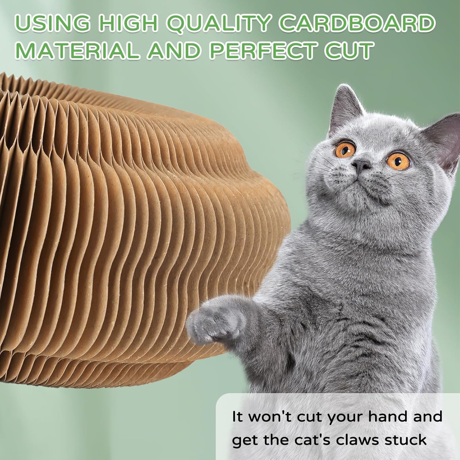 Cozioz Magic Organ Cat Scratching Board & Ball Track - Interactive Accordion Toy for Fun, Exercise, and Education image number 2