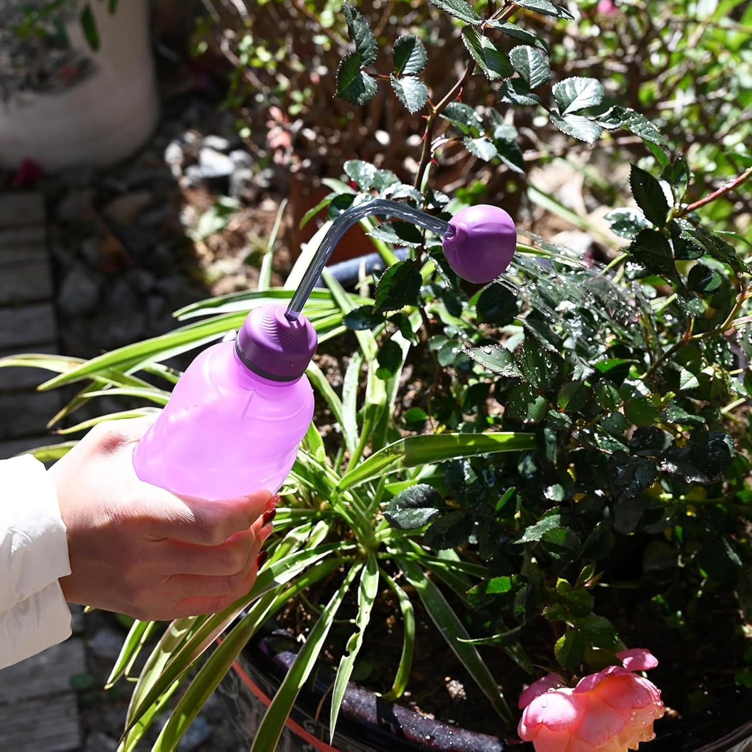 Watering Can for Seedlings,Watering Can,Squeeze Bottles Succulent Watering Bottle 450Ml Water Squirt Irrigation Bottle Squeeze Sprinkling Can Plastic Wash Plant (Green) image number 5
