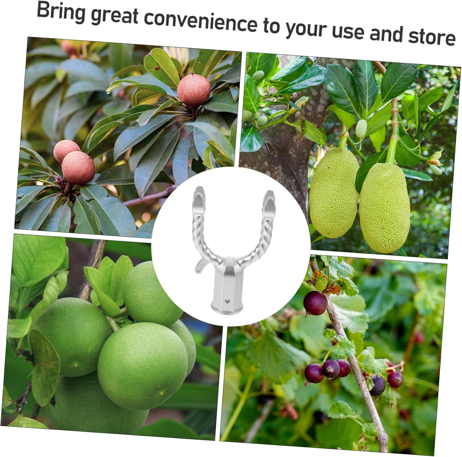 Plants Training Tools Branches Fixing Tool for Outdoor Gardens 6Pcs Silver Aluminum Alloy Tree Braces Lightweight to Support Fruited Trees and Improve Photosynthesis image number 4