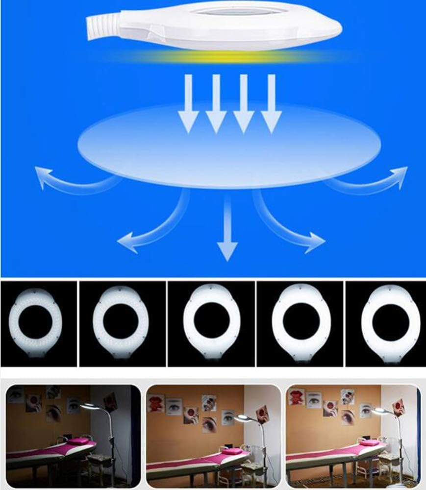 16X Magnification Magnifying Glass with Light Wheeled Floor Standing Hands Free Illuminated Adjustable Magnifier Lamp 360&deg; Rotation Adjustment Reading Crafts Hobbies XXZ image number 3