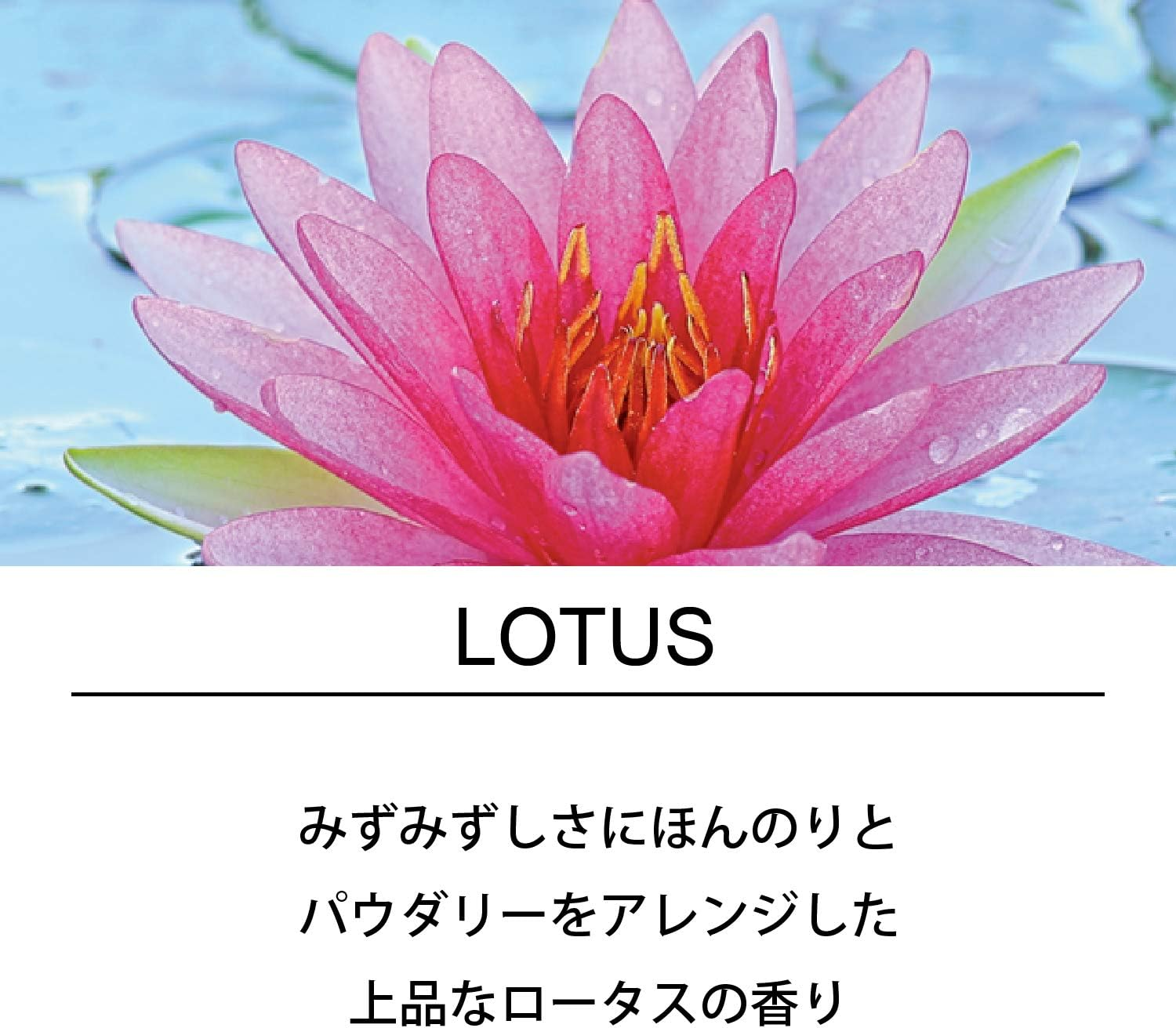 Japan Incense - Esteban Esprit De Natur Lotus 40 Pieces *AF27*