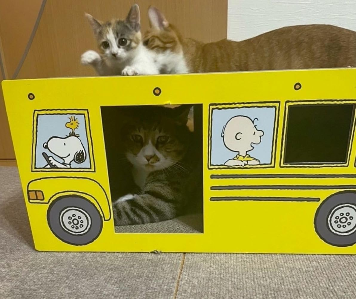 Three Arrows Snoopy Again Powder Bass Claw Sharpener Cat image number 3