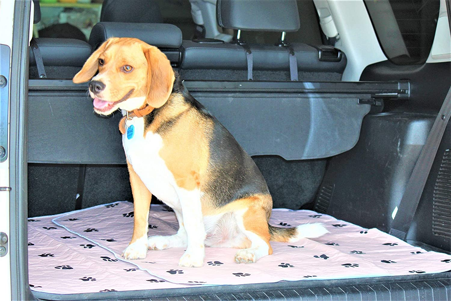 2 Pack XL Washable Whelping Pee Mats, 4 Layers, 80 Cm X 90 Cm or 31" X 35" Aussie Supply, anti Slip Gel Grip Underside Keeps Mat in Place, Suits Car, Truck Back Seat, Dog Mat, Dog Pad, Very Reusable Pee Pads, Totally Waterproof for Cat Litter Box or Cat Litter Tray. Dog Crate or Dog Kennel Very Washable Dog Pee Pad, Wee Pad and Dog Playpens Peepeego Mats. Pet Sofa Protector, Pet Car Mat, Fully Waterproof to 1 Litre. image number 2