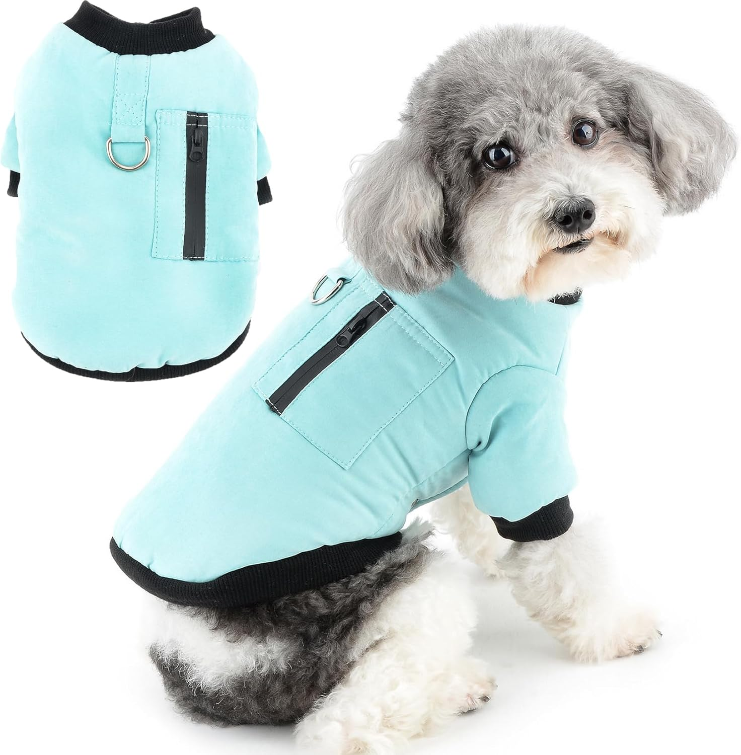 Zunea Dog Winter Coats for Small Dogs Soft Warm Fleece Lined Puppy Clothes with D-Ring Cold Weather Pet Girl Boy Apparel Windproof Coat with Zipper Pocket Chihuahua Yorkie Clothing Blue XL