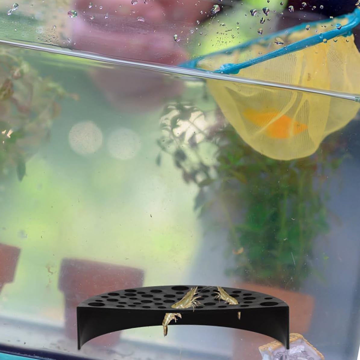 Wzenclave Shrimp Hides for Aquarium, Black Plastic Shrimp Cave Shelters & Small Fish Tunnel for Breeding, Durable Aquarium Hideout Decor, Tank Accessories for Shrimp and Small Fish image number 5