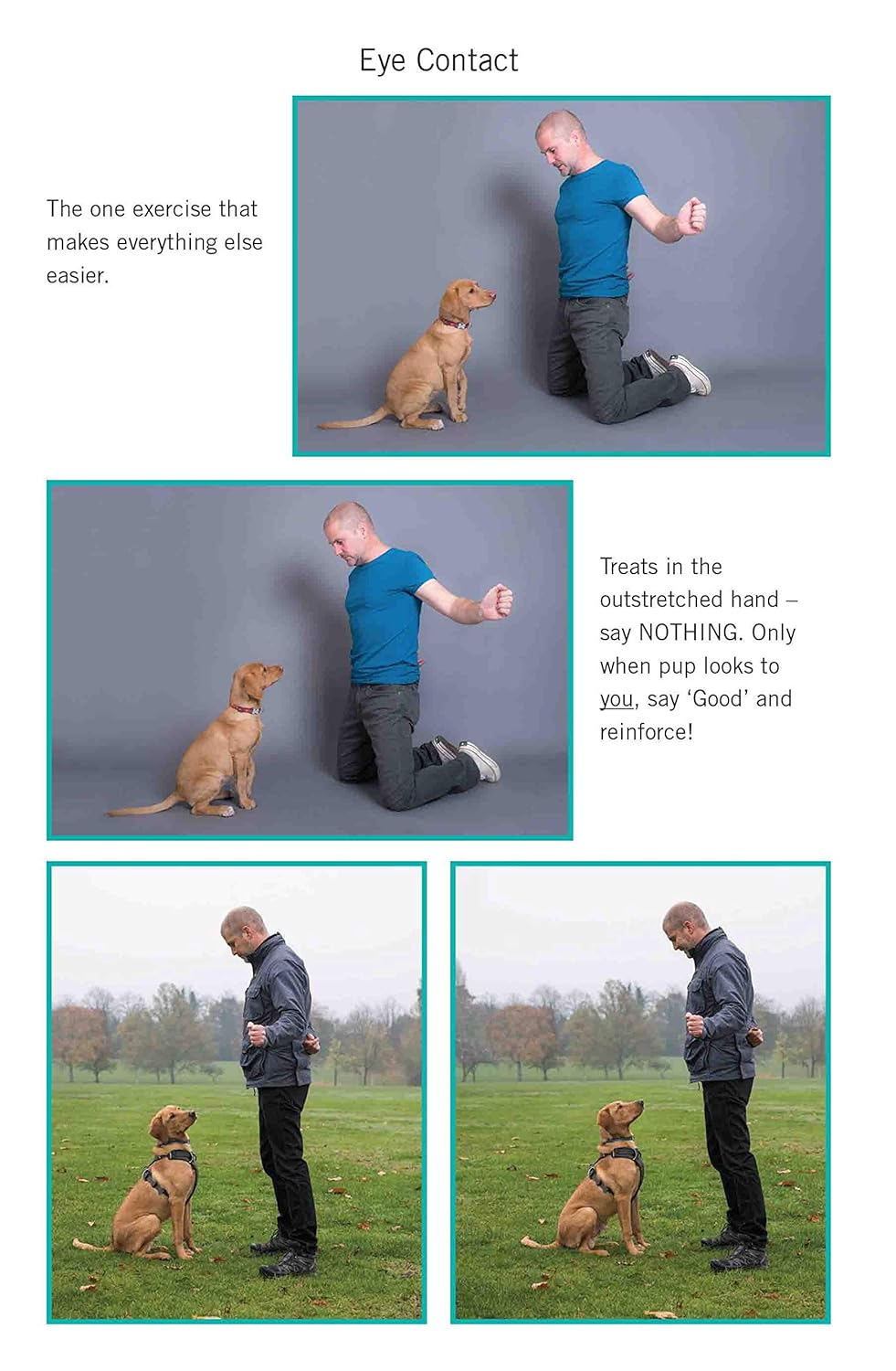 Easy Peasy Puppy Squeezy: Your Simple Step-By-Step Guide to Raising and Training a Happy Puppy