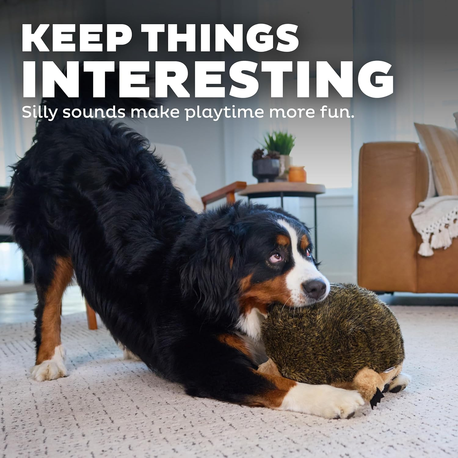 Outward Hound Hedgehogz Squeak and Grunt Dog Toy image number 5