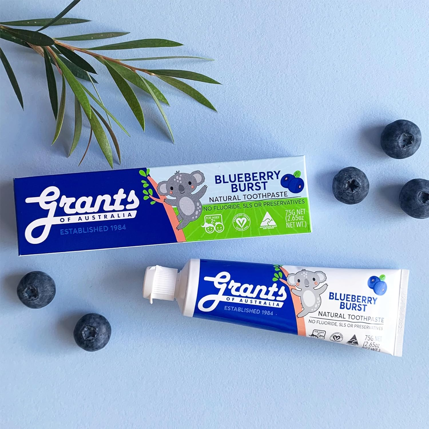 Grants Blueberry Burst Toothpaste 75G image number 2