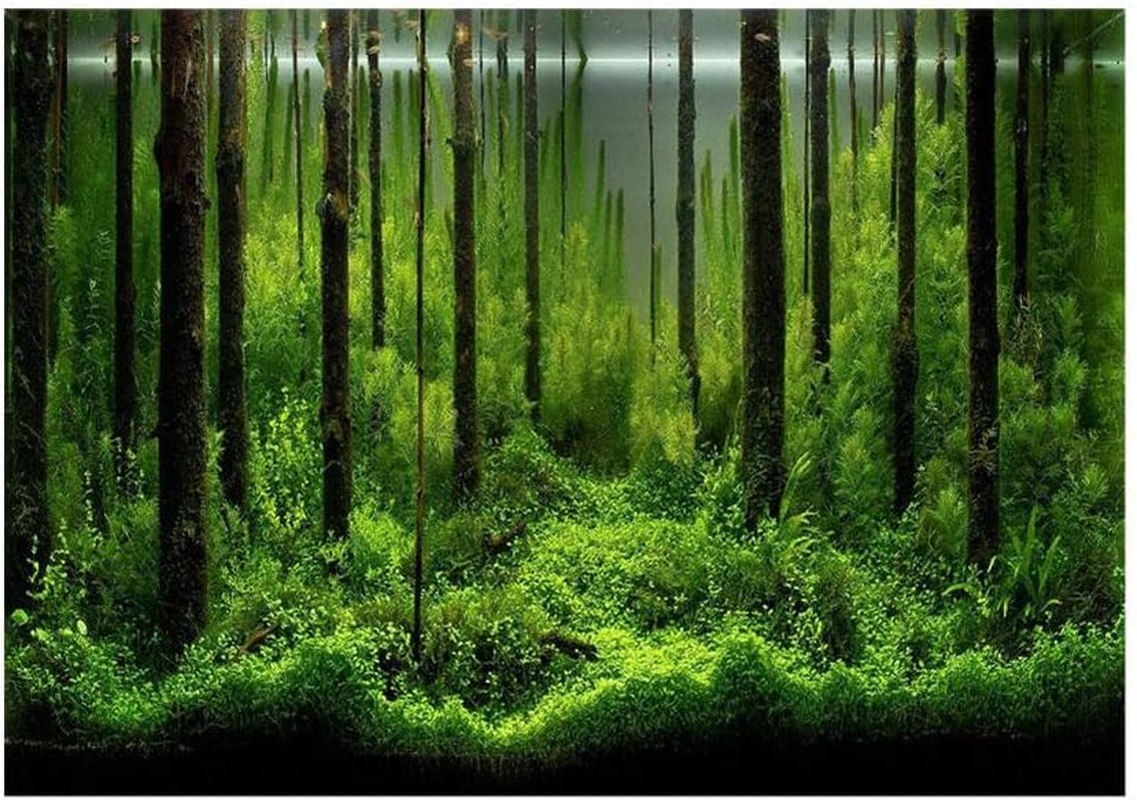 Aquarium Background Poster, Decoration Paper Backdrop Fish Tank Background Underwater Forest Landscape for Removal and Replacement(61 * 41Cm, Black)