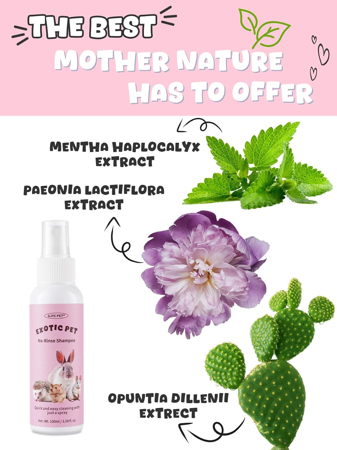 No-Rinse Dry Shampoo, Plant-Based Formula for Small Pets, Paraben-Free, 100Ml, Fragrance-Free image number 5