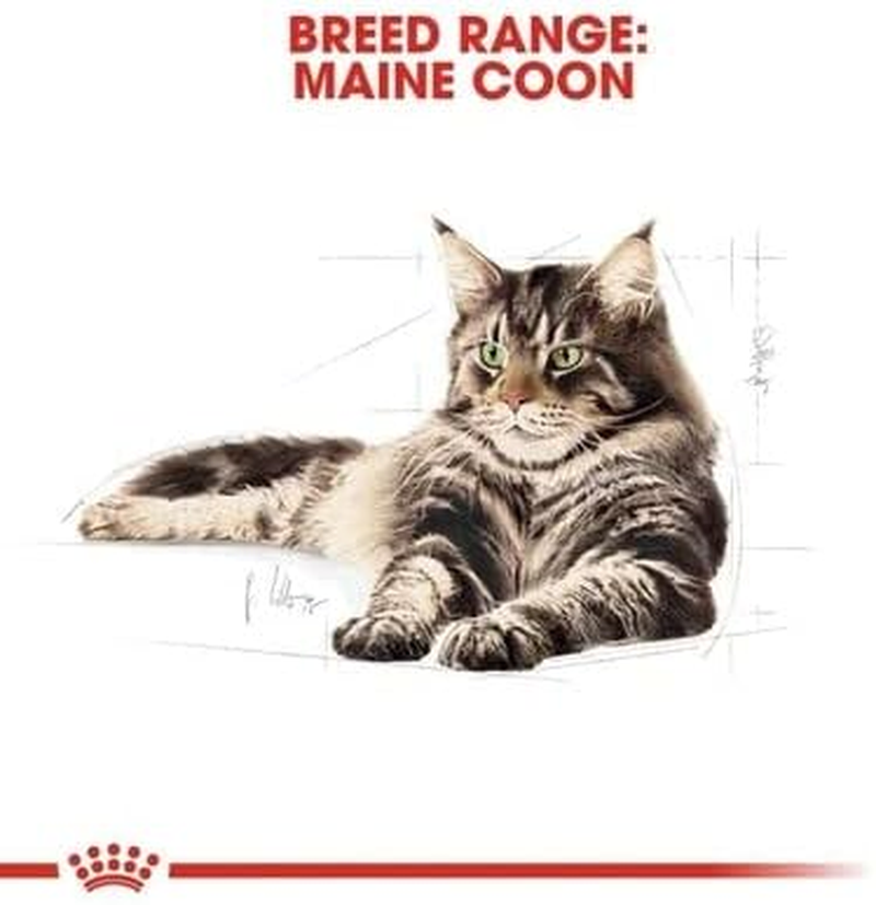 Royal Canin Maine Coon in Gravy Adult over 15 Months Pouches Wet Cat Food 85 GMS 12 Pack image number 2