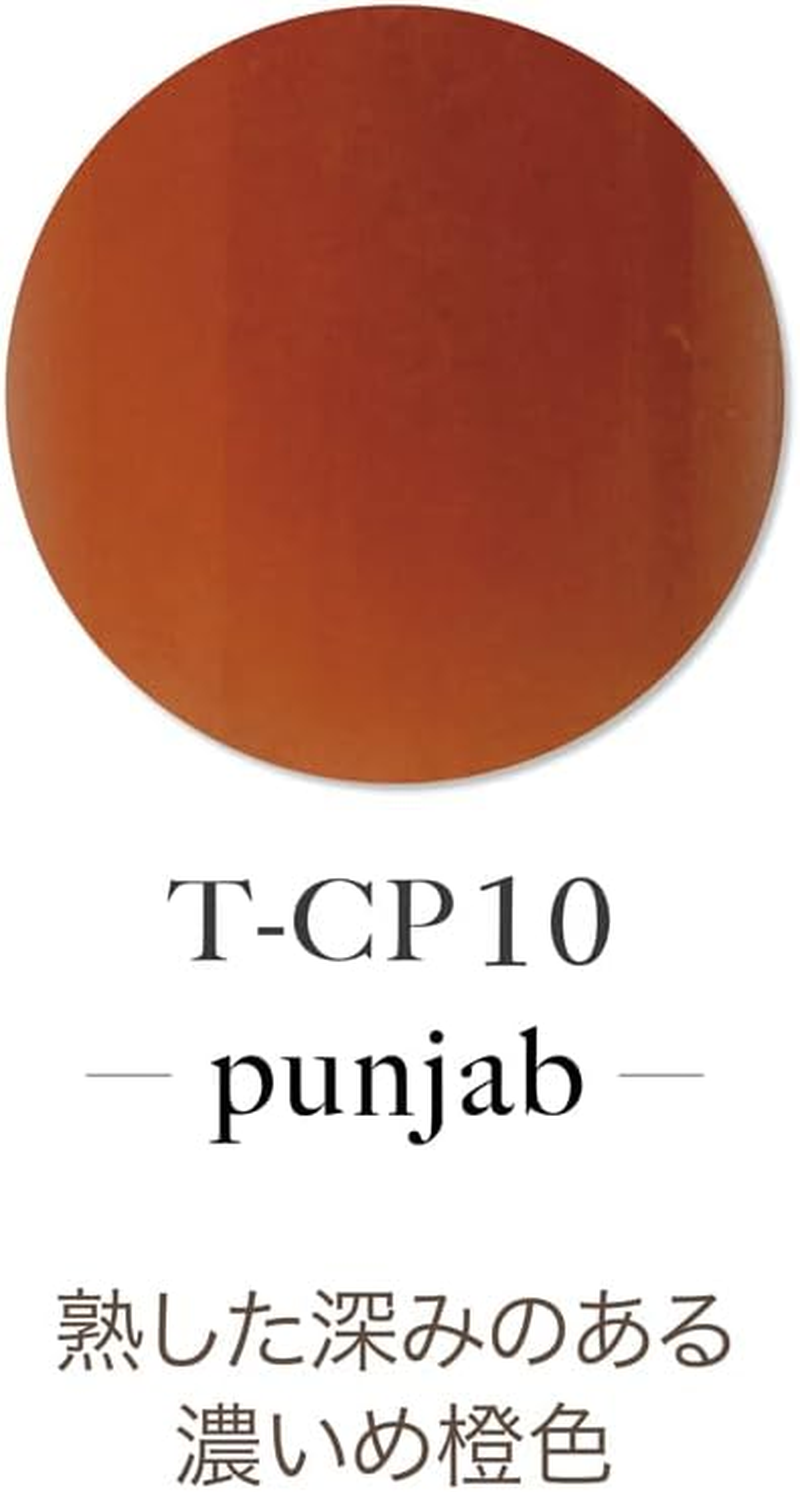 TOY'S X INITY T-CP10 Acrylic Color Powder, Punjab, 0.2 Oz (7 G) image number 3