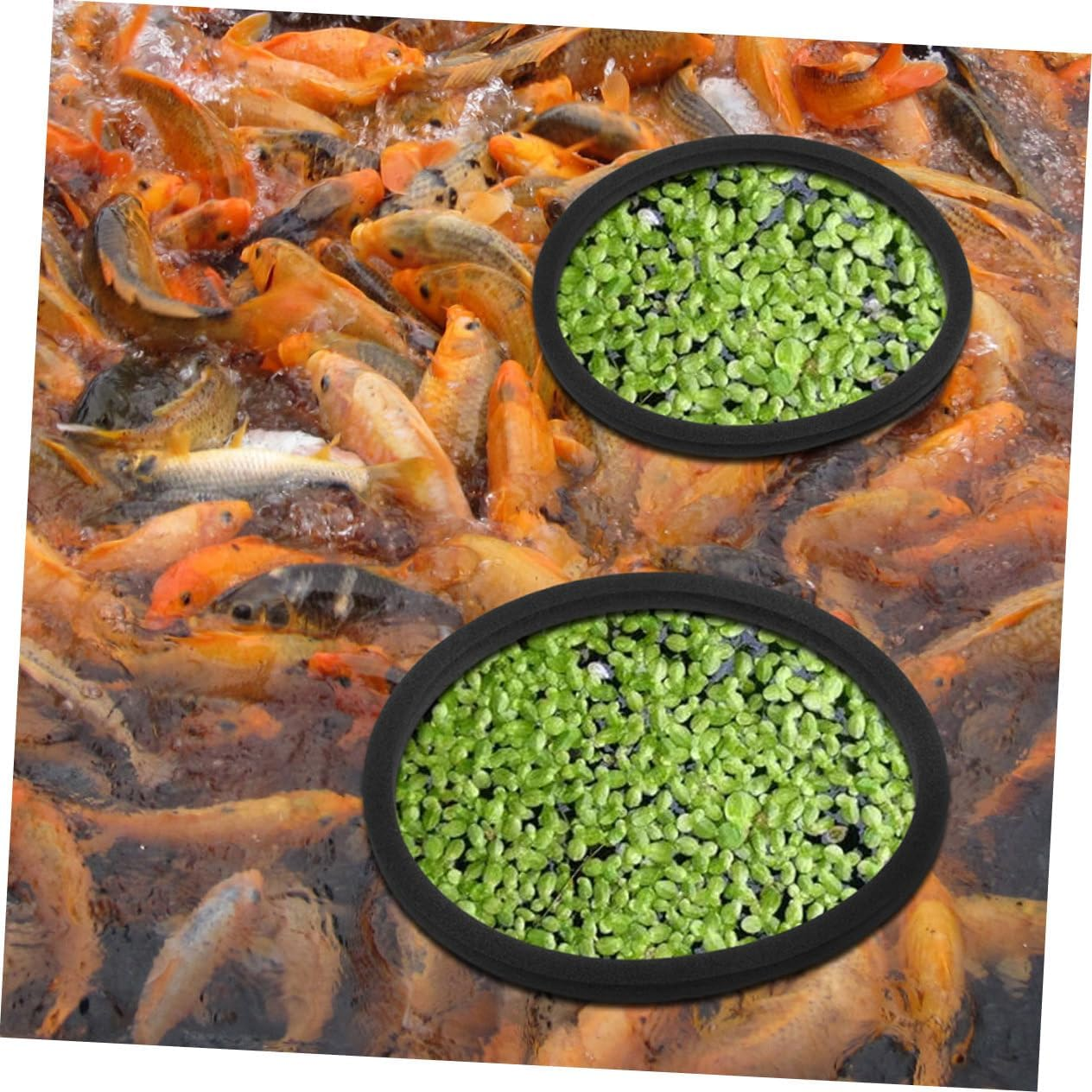 ARTSEWPLY 20Pcs Aquarium Floating Plant Barrier Rings with Fish Feeding Design Promote Photosynthesis and Protect Plants Enhance Tank Beauty Suitable for Aquatic Pets and Fish Feeding image number 2