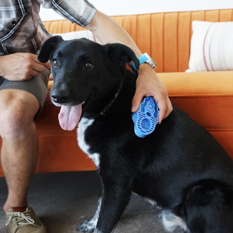 KONG - Zoom Groom Dog Brush, Groom and Massage While Removing Loose Hair and Dead Skin - Blue image number 2