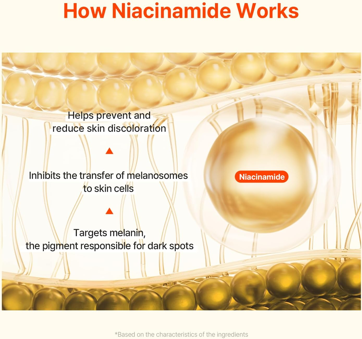 AVCA Vitamin + Niacinamide Radiance Cream 100Ml - Even Tone & Glow Moisturizer, Daily Hydration K-Beauty Vitamin Cream image number 3