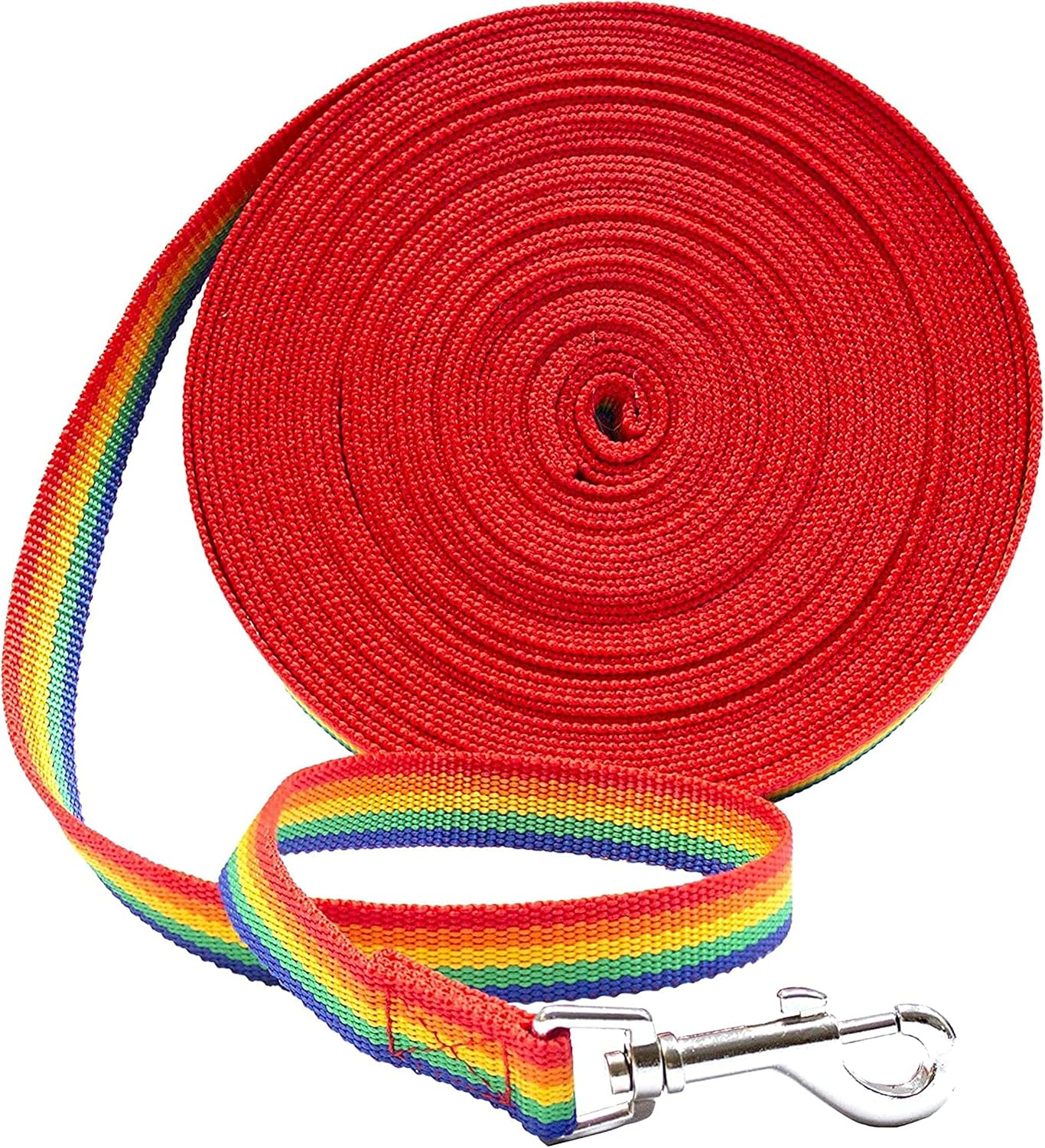 Downtown Pet Supply Dog/Puppy Obedience Long Recall Training Agility Lead Leash - Perfect for Pet Behavior Training, Multiple Sizes (100 Ft, Rainbow)