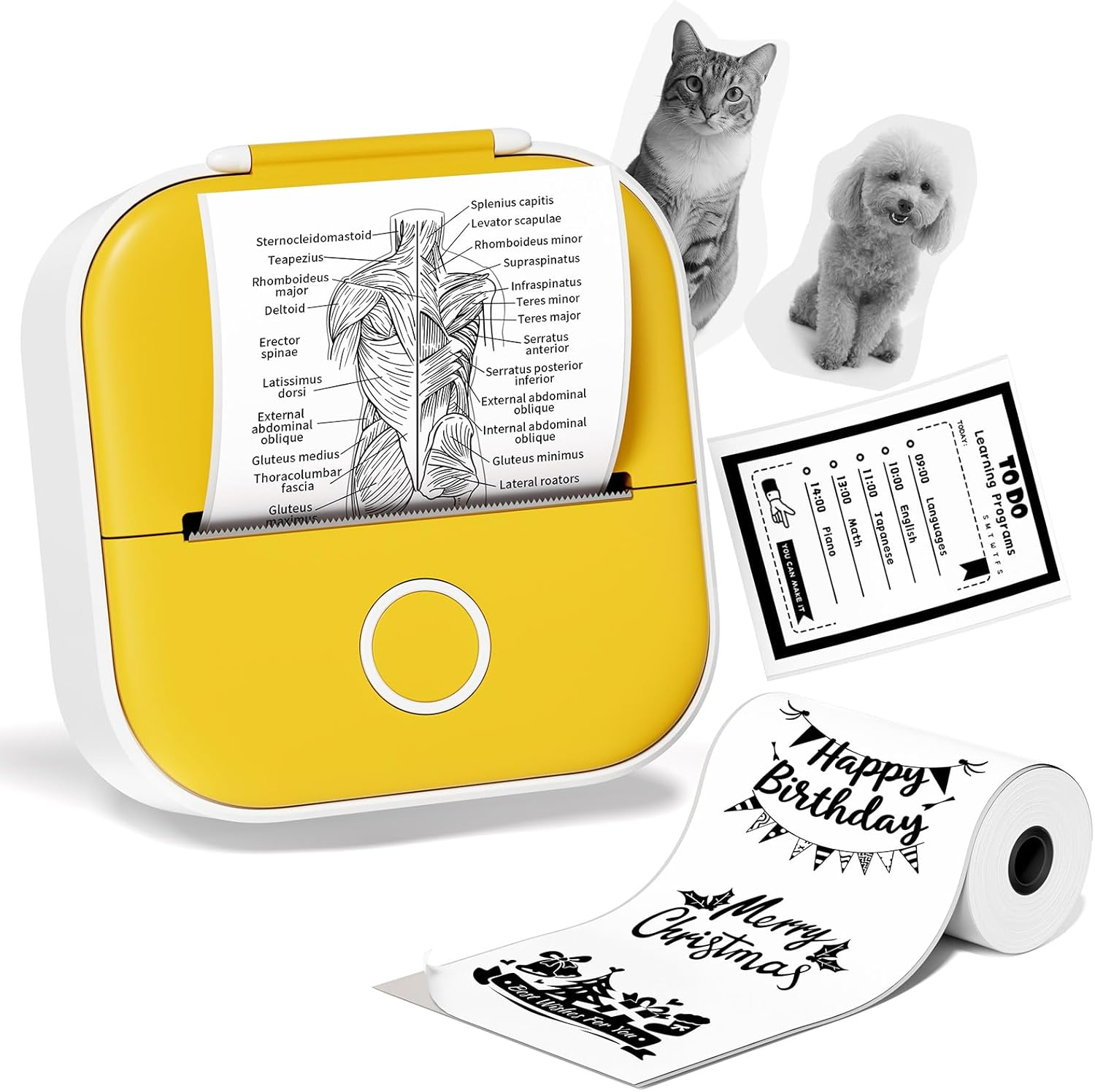 Mini Sticker Printer, T02 Print Pods Mini Printer, Sticker Maker Machine with 1 Roll Paper, Bluetooth Thermal Inkness Sticky Note Maker for Sticky Scrapbook, Journal, Note, Diagrams image number 3