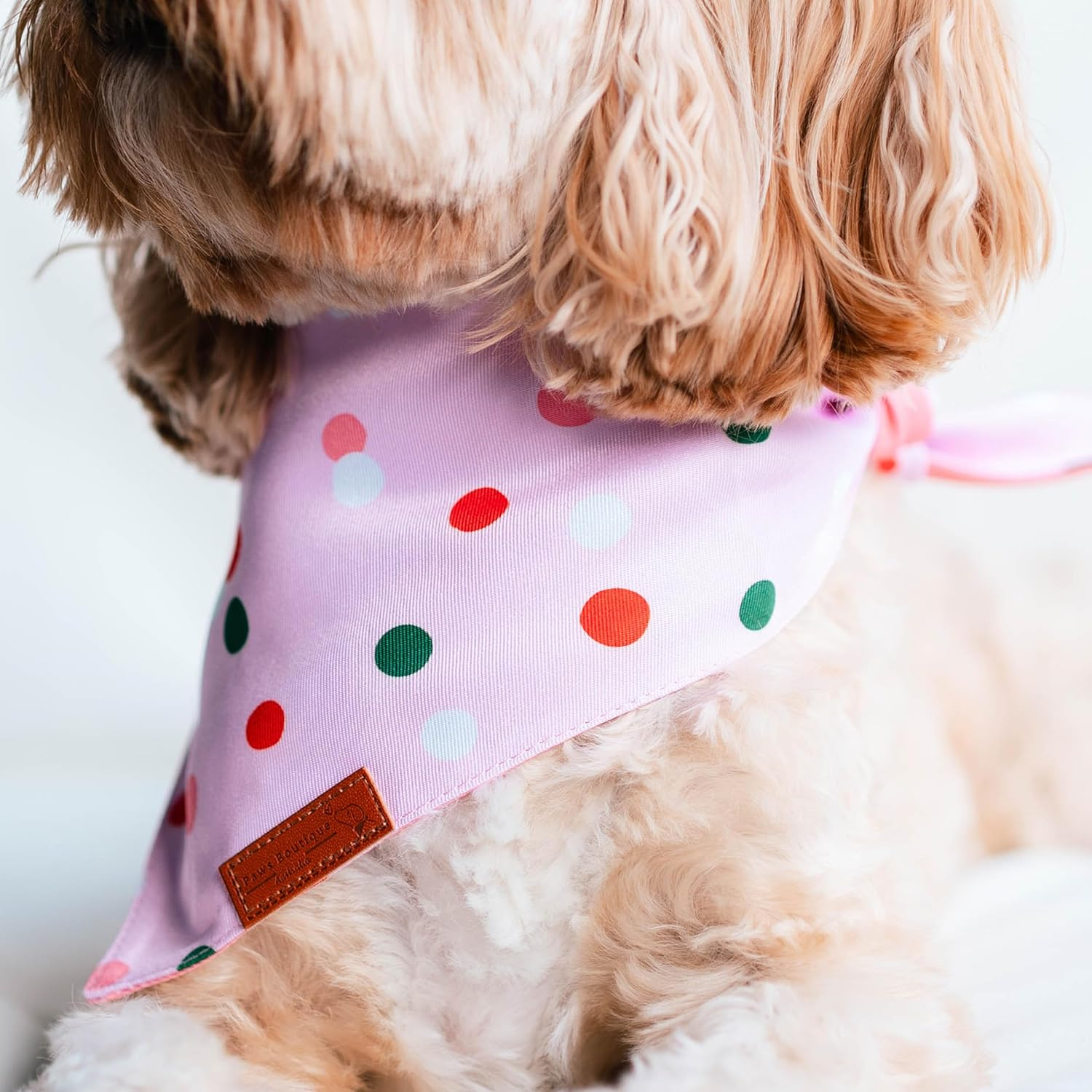 Paws Boutique Premium Dog Bandana/Scarf | Design: Confetti Celebration | Reversible Dual Layered/Sided | Small, Medium & Large Pets | Unique Style | Accessories for Puppies & Dogs (S)