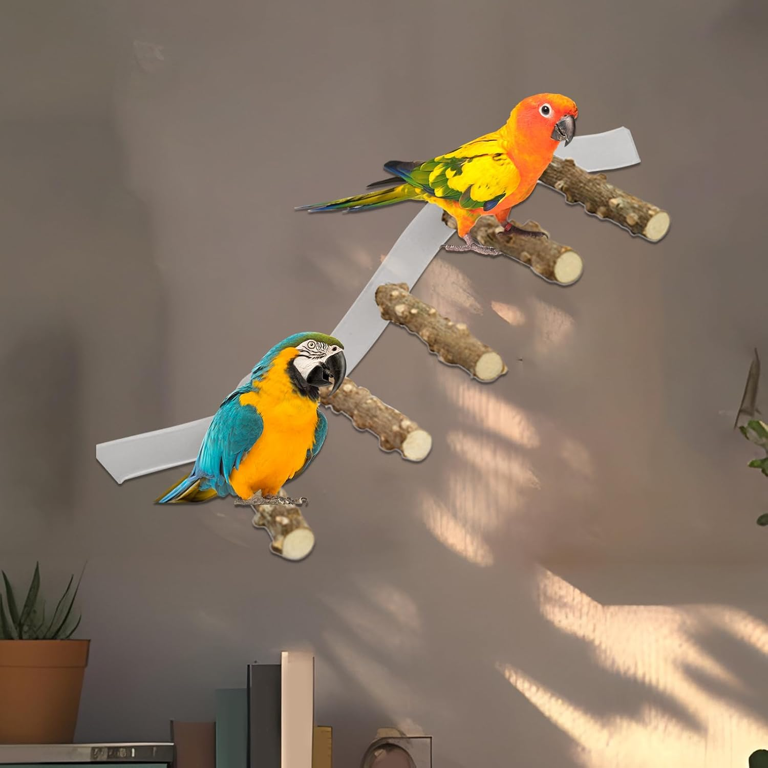 Nybhyjka Perch for Birds,Conure Climbing Ramp - Portable Suction Cup Cage Perch for Parrot, Parakeet, Conure for Home, Wall, Window