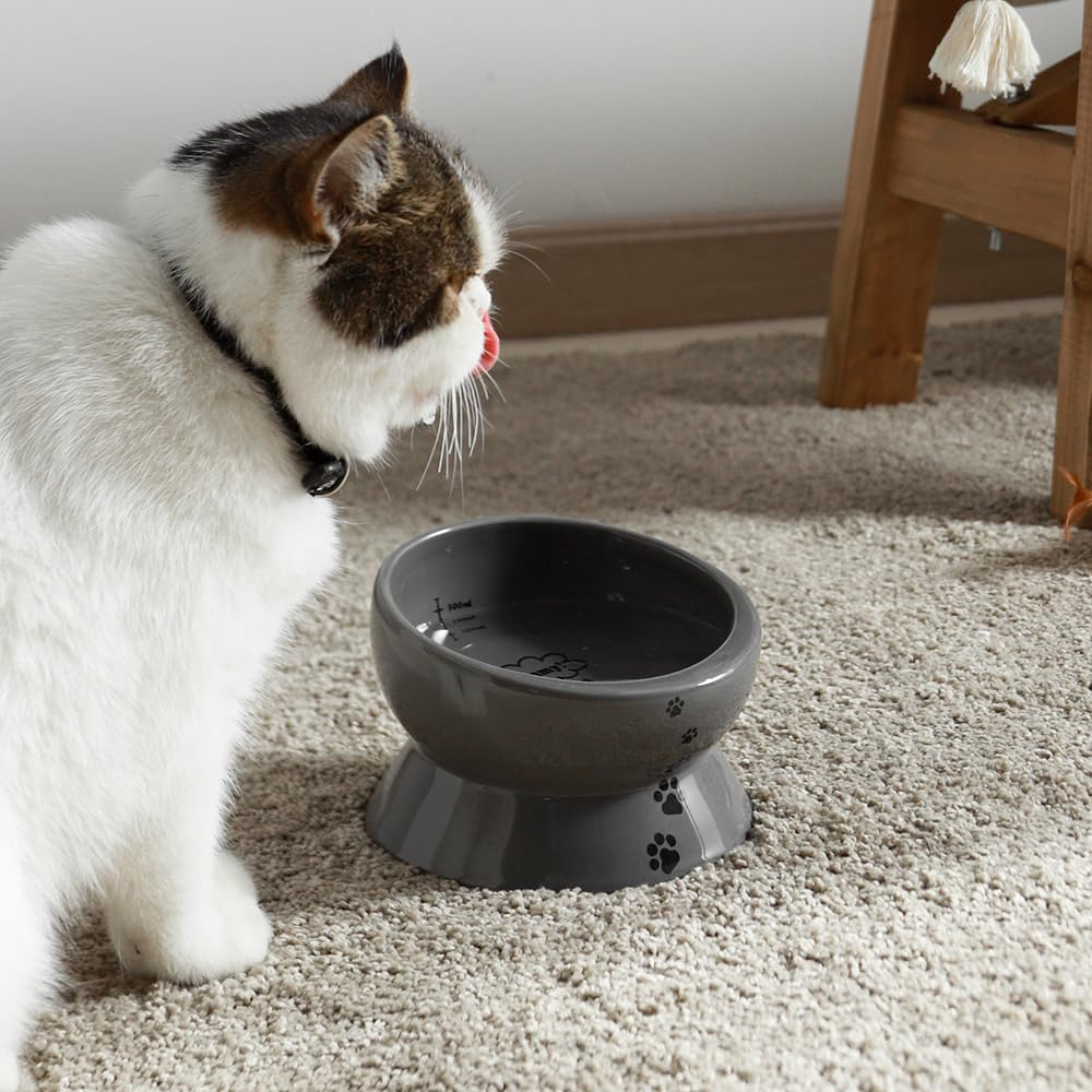 Y YHY Elevated Cat Food Bowl, Raised Pet Food and Water Bowl, Ceramic, 15Oz image number 3