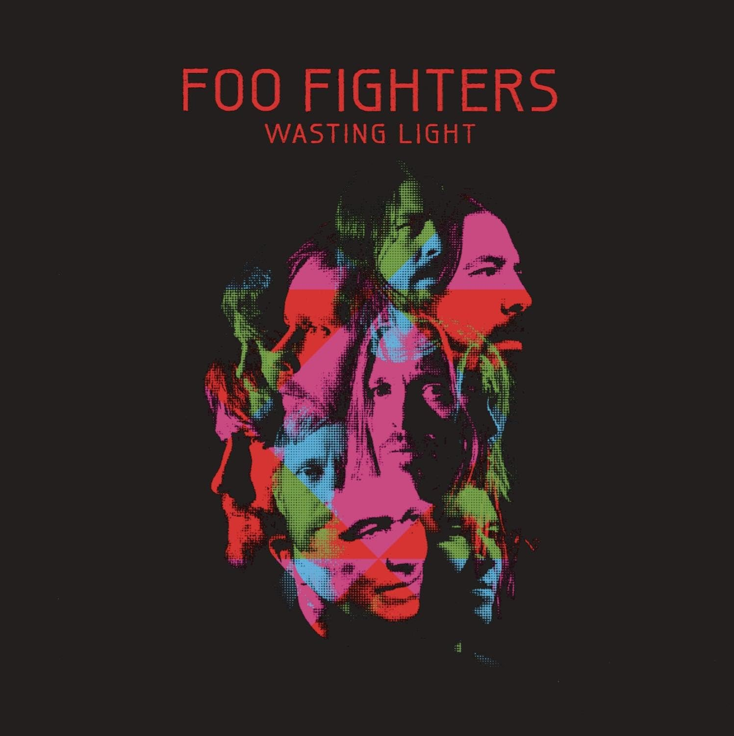 WASTING LIGHT (LP) image number 1