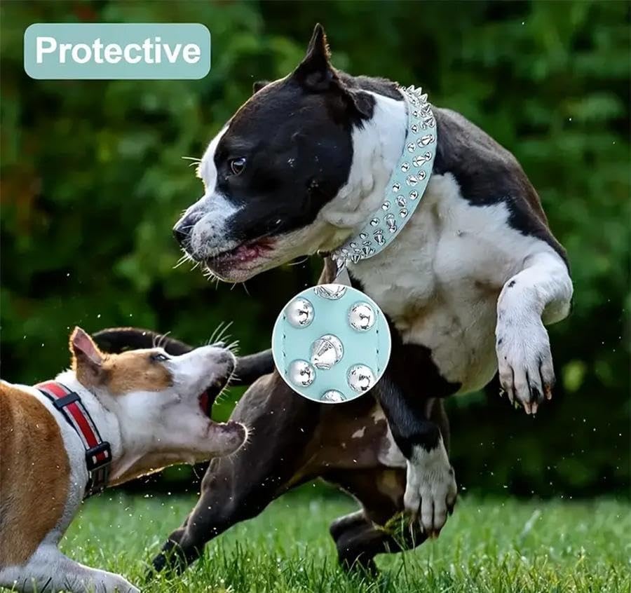 Pet Collar Rivet Studded Adjustable Necklace for Puppy Small Medium Dogs (Baby Blue, M) image number 5