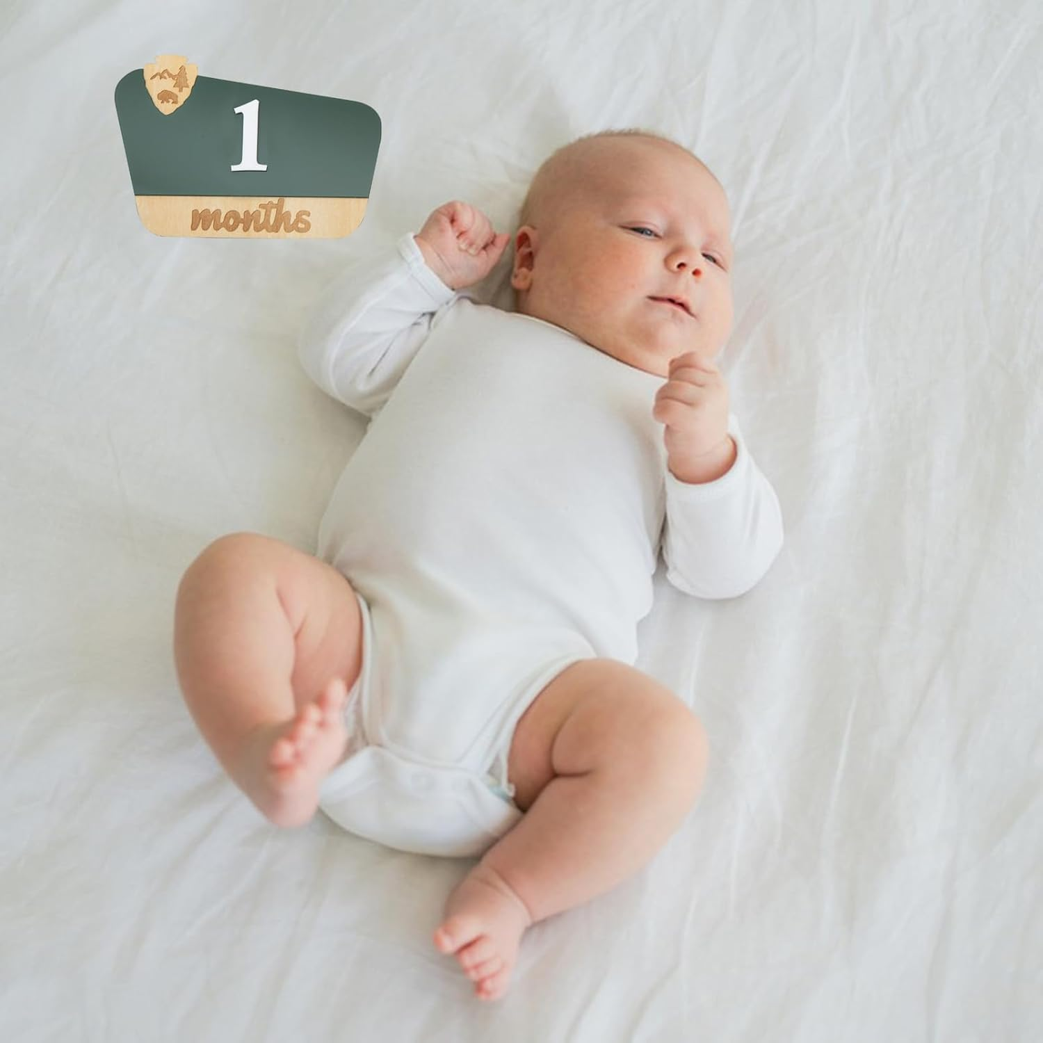 National Park Baby Milestone Markers - Wooden Monthly Signs for 1-12 Months, Interchangeable Nature-Themed Growth Tracker, Rustic Nursery Decor, Woodland Baby Announcement Board, Photoshoot Props image number 3